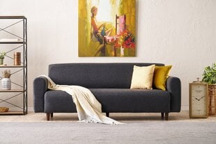 Diivan Noya Linane, hall price and information | Sofa beds and sofas | hansapost.ee