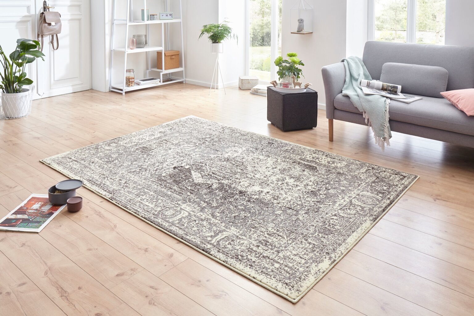 Vaip Hanse Home Plume, 200x290 cm hind ja info | Vaibad | hansapost.ee