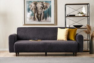 Diivan Noya Chenille, hall price and information | Sofa beds and sofas | hansapost.ee