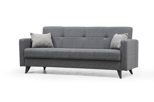 Diivan Polya, hall price and information | Sofa beds and sofas | hansapost.ee