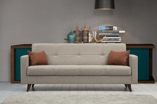 Diivan Polya, hall price and information | Sofa beds and sofas | hansapost.ee