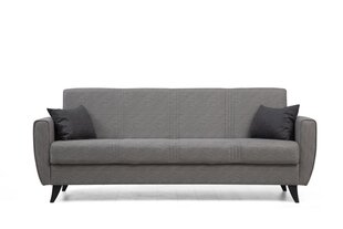 Diivanvoodi Asir Zaden, hall price and information | Sofa beds and sofas | hansapost.ee