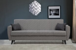 Diivanvoodi Asir Zaden, hall price and information | Sofa beds and sofas | hansapost.ee