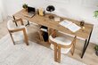 Kirjutuslaud Twin Study Desk, pruun цена и информация | Arvutilauad, kirjutuslauad | hansapost.ee