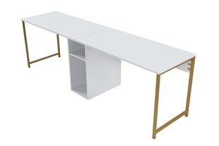 KirjutuslaudTwin Study Desk, valge price and information | Computer desks, writing desks | hansapost.ee