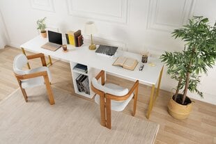 KirjutuslaudTwin Study Desk, valge цена и информация | Компьютерные, письменные столы | hansapost.ee