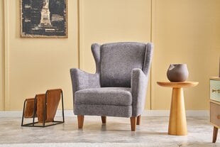 TugitoolLola Prestij, hall price and information | Armchairs | hansapost.ee