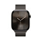 Apple Watch Series 10 GPS + Cellular 46mm Slate Titanium Case with Slate Milanese Loop - M/L MWYW3ET/A цена и информация | Nutikellad, laste nutikellad | hansapost.ee