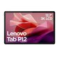 Lenovo Tab P12 ZACH0204SE hind ja info | Tahvelarvutid | hansapost.ee