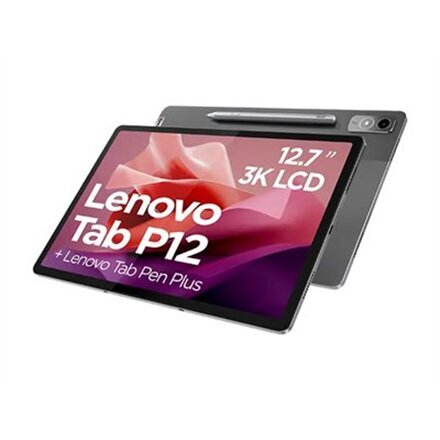 Lenovo Tab P12 ZACH0204SE цена и информация | Tahvelarvutid | hansapost.ee