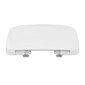 Seinapealne wc-pott Ideal Standard T368001 koos kaanega цена и информация | WС-potid | hansapost.ee