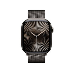 Apple Watch Series 10 GPS + Cellular 42mm Slate Titanium Case with Slate Milanese Loop MX053ET/A цена и информация | Смарт-часы (smartwatch) | hansapost.ee