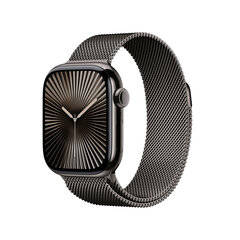 Apple Watch Series 10 GPS + Cellular 42mm Slate Titanium Case with Slate Milanese Loop MX053ET/A цена и информация | Смарт-часы (smartwatch) | hansapost.ee