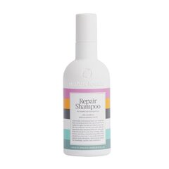 Šampoon kahjustatud juustele makadaamiaseemneõliga Waterclouds Repair shampoo, 250 ml hind ja info | Šampoonid | hansapost.ee