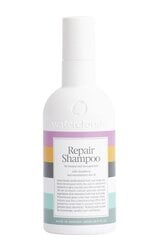 Шампунь для поврежденных волос с маслом семян макадамии Waterclouds Repair Shampoo, 250 мл цена и информация | Шампуни | hansapost.ee