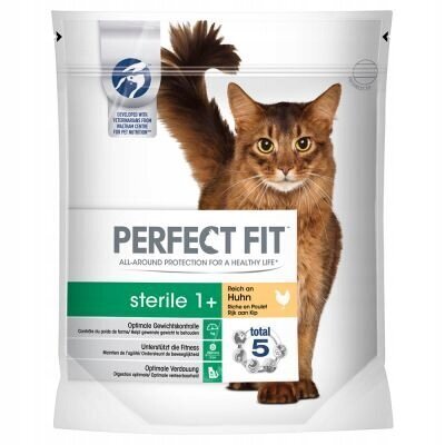 Perfect Fit Sterile 1+ steriliseeritud kassidele veiseliha, 4,5 kg hind ja info | Kassi kuivtoit ja kassikrõbinad | hansapost.ee