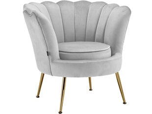 Kelvin tugitool 11137365, hall price and information | Armchairs | hansapost.ee