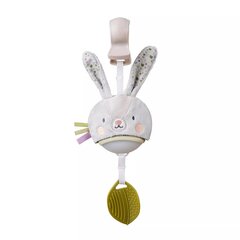 Rippuv muusikaline mänguasi Taf Toys Bunny hind ja info | Beebide mänguasjad | hansapost.ee