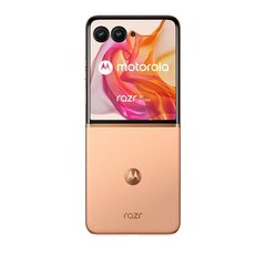 Motorola Razr 50 Ultra 12/512ГБ Peach Fuzz цена и информация | Мобильные телефоны | hansapost.ee