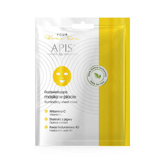 Puhastav lehtmask Apis Your Home Spa, 20 g hind ja info | Näomaskid ja silmamaskid | hansapost.ee