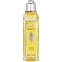 Гель для душа L'occitane Verbena Citrus, 250 мл цена и информация | Масла, гели для душа | hansapost.ee