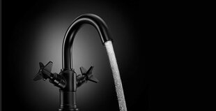 Valamusegisti Deante Temisto, Black, BQT_N20D price and information | Bathroom faucets | hansapost.ee