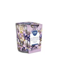 Aura lõhnaküünal Iris Black Currant 100 g hind ja info | Küünlad, küünlajalad | hansapost.ee