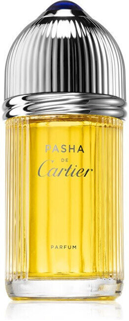 Parfüüm Cartier Pasha De Cartier Parfum PP meestele, 100 ml цена и информация | Parfüümid meestele | hansapost.ee