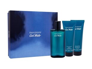 Davidoff Cool Water 125ml цена и информация | Мужские духи | hansapost.ee