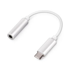 Adapteris USB-C- jack 3,5mm, Setty цена и информация | Адаптеры, USB-разветвители | hansapost.ee