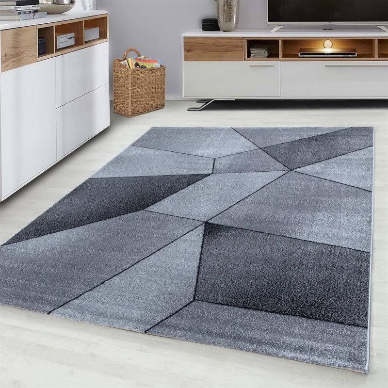 Vaip Ayyildiz Beta Grey 1120, 200x290 cm hind ja info | Vaibad | hansapost.ee