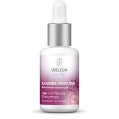 Näoseerum küpsele nahale Weleda Evening Primrose, 30 ml цена и информация | Сыворотки для лица, масла | hansapost.ee