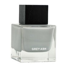 Парфюмированная вода Aurora Grey Ash EDP для мужчин/женщин, 100 мл цена и информация | Духи для Нее | hansapost.ee