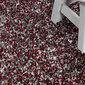Vaip Ayyildiz Enjoy Red 4500, 120x170 cm hind ja info | Vaibad | hansapost.ee