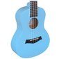 Kontserdi ukuleele komplekt V-Tone UK23 hind ja info | Kitarrid | hansapost.ee