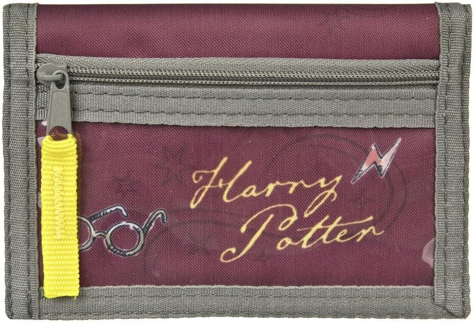 Rahakott lastele Harry Potter цена и информация | Aksessuaarid lastele | hansapost.ee