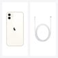 Apple iPhone 11 Dual SIM 4G 64 GB White hind ja info | Telefonid | hansapost.ee