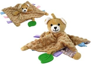 Multifunktsionaalne mänguasi Bear Lean Toys price and information | Toys for babies | hansapost.ee