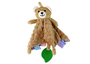 Multifunktsionaalne mänguasi Bear Lean Toys hind ja info | Beebide mänguasjad | hansapost.ee