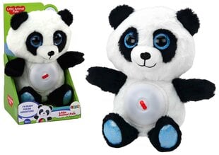 Hällilauludega projektor Lean Toys Panda price and information | Toys for babies | hansapost.ee