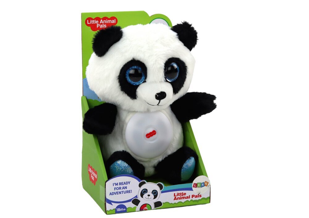 Hällilauludega projektor Lean Toys Panda hind ja info | Beebide mänguasjad | hansapost.ee