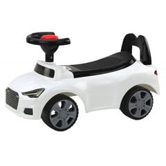 Tõukeauto QX-3396 Lean Toys, valge hind ja info | Beebide mänguasjad | hansapost.ee