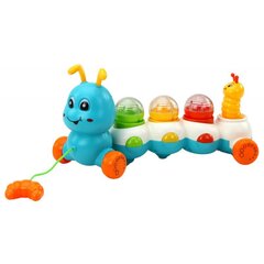 Tõmbatav beebimänguasi Lean Toys Caterpillar price and information | Toys for babies | hansapost.ee