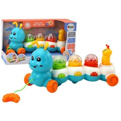 Tõmbatav beebimänguasi Lean Toys Caterpillar price and information | Toys for babies | hansapost.ee