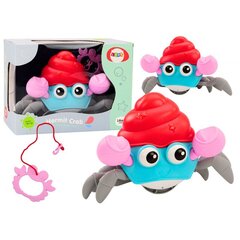 Mänguasi kõndiv krabi Lean Toys price and information | Toys for babies | hansapost.ee