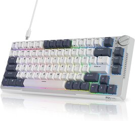 Royal Kludge RK H81 valge juhtmeta mehaaniline klaviatuur | 75%, Hot-swap, RGB, Blue Switches, US hind ja info | Klaviatuurid | hansapost.ee