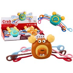 Interaktiivne krabi, 1 tk price and information | Toys for babies | hansapost.ee