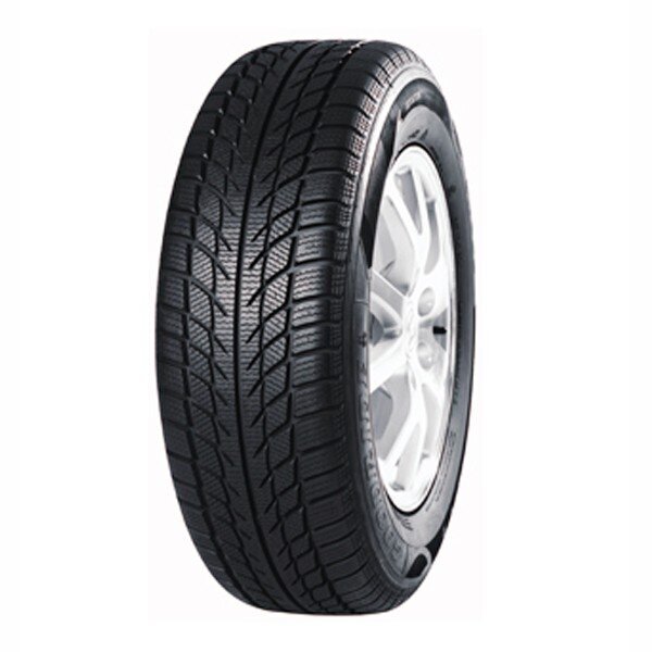 Goodride SW608 245/30R20 90 V XL цена и информация | Talverehvid | hansapost.ee