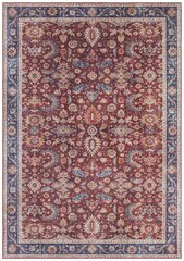 Vaip Nouristan Asmar Vivana, 80x150 cm hind ja info | Vaibad | hansapost.ee