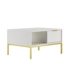 Kohvilaud Austin, 80x60x45,4 cm, valge/kuldne price and information | Coffee tables | hansapost.ee